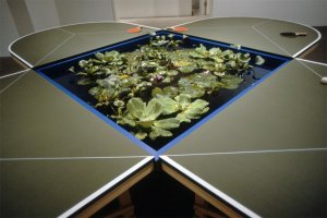 Ping-Pond Table, a 1998 installation by Gabriel Orozco